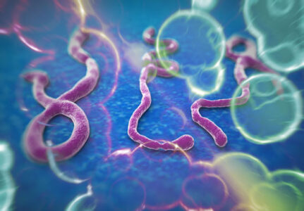 Coping with Ebola and Other Emerging Infections Image